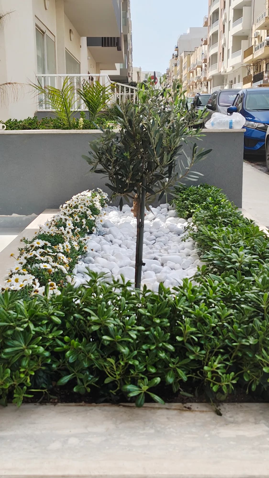 Garden by Bloomish